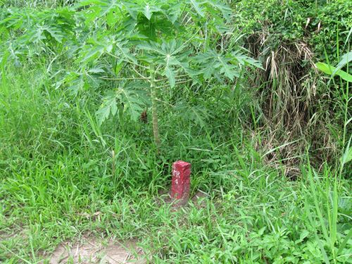 090702_サイト引渡し_Road(1)_サイト調査時に打った杭_090702