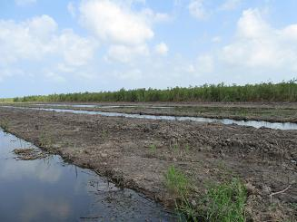 091030_エンバンクメント施工中(3)_091030