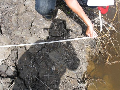 091106_エンバンクメント施工中(4)_091106