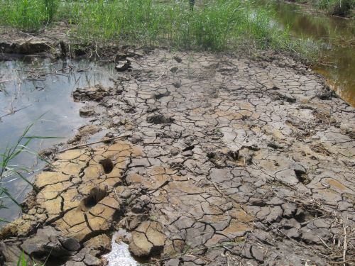 091203_エンバンクメント_露出したパイライト層_091204