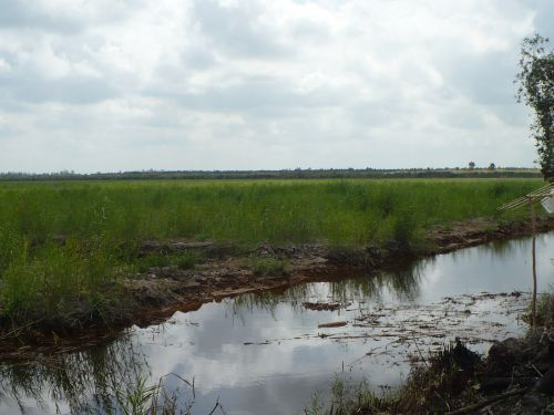 091224_エンバンクメント施工中_091224