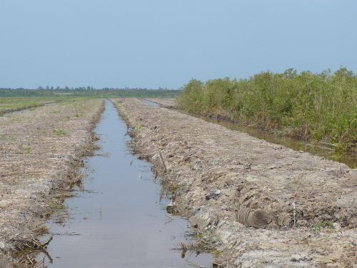 100119エンバンクメント仕上工事中_100119