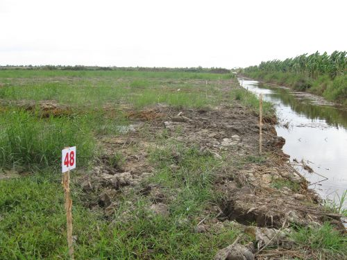 100128_エンバンクメント施工終了_検査待ち_100128