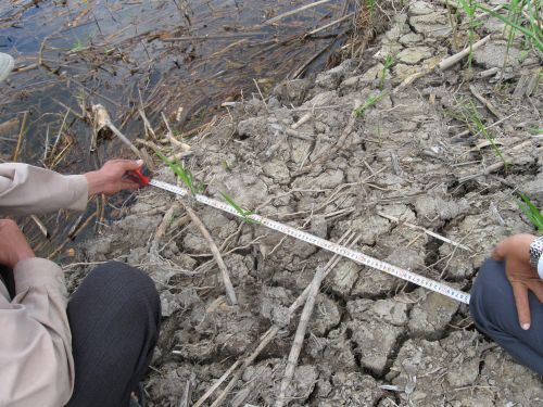 100128_エンバンクメント酸性度検査_100128