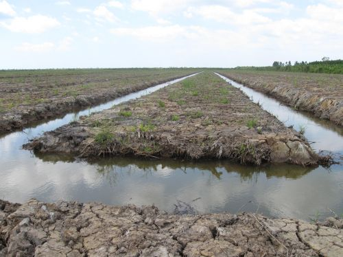 100209_エンバンクメント施工パイライト層検査_100209