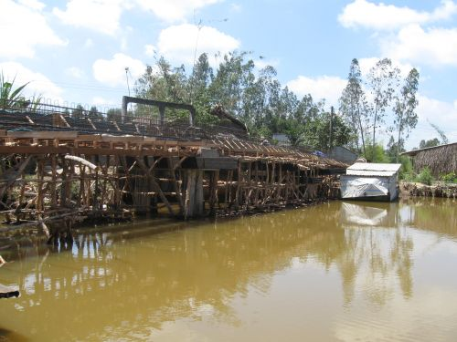 100315_橋施工中(1)_100315