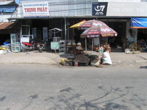 100422_メコンボート乗り場前の朝食処_100422