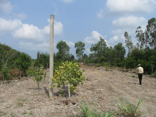 100427_新設道路工事_撤去要電柱等チェック中_100427