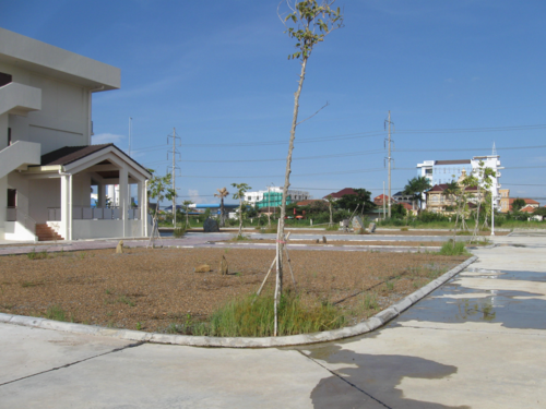 140912_別館庭の桜に似た木が根づいて少し伸びてきた_140912_コピー