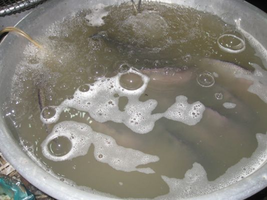 171110_ナムスワン市場(2)_171110